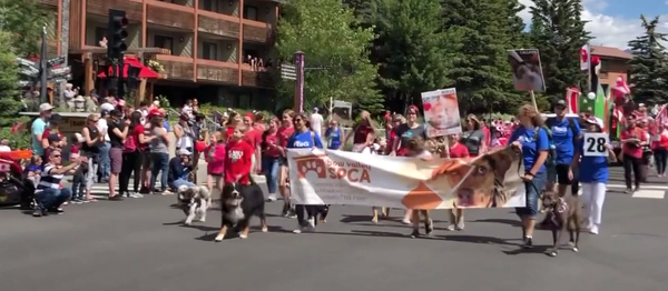 Banff Parade screen shot.png