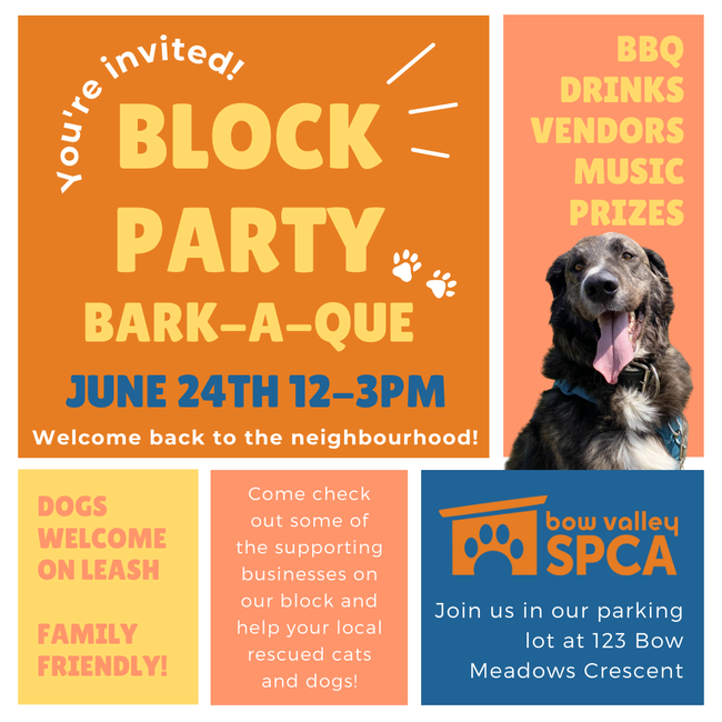 Block Party Social Media Graphic (3)