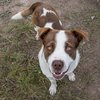 Bobby IMG_6023.jpg