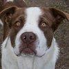 Bobby IMG_6026.jpg