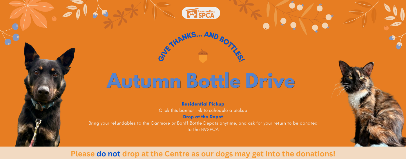 Bottle Drive - Website Banners