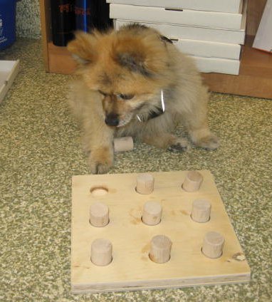 Brain Games 005 copy.jpg