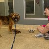 Buddy IMG_5070.jpg