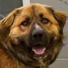 Buddy IMG_5072.jpg