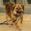 Buddy IMG_5079-2.jpg