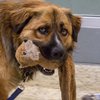 Buddy IMG_5082-2.jpg