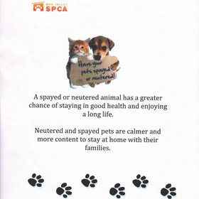 CCHS Leadership Posters-1.jpg