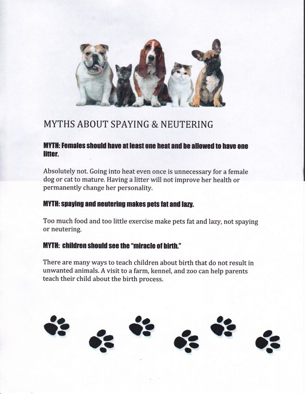 CCHS Leadership Posters-2.jpg