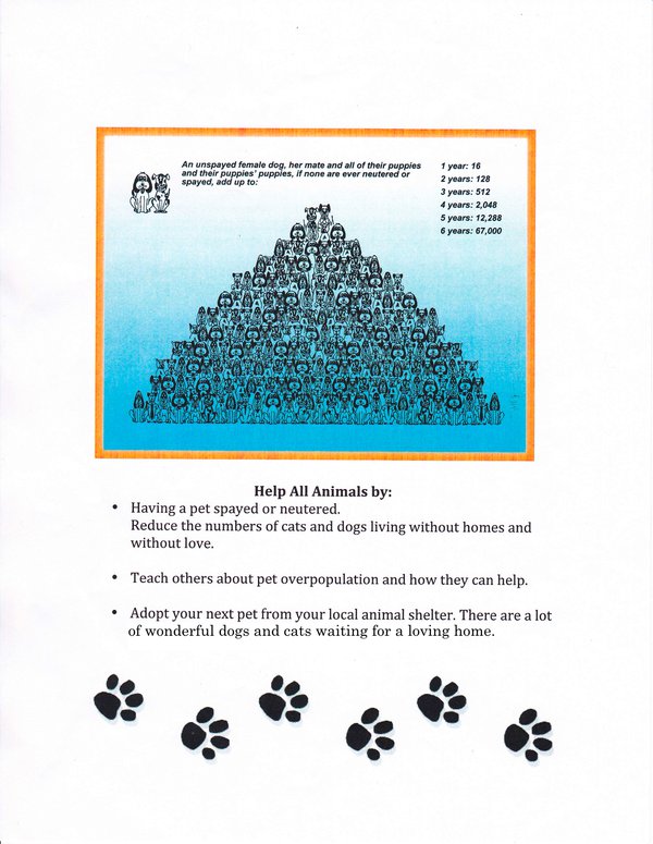 CCHS Leadership Posters-3.jpg