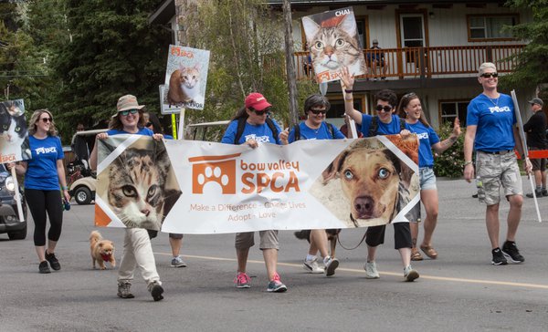 Canmore Canada Day 2019 IMG_0507-2.jpg