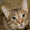 Carrot-IMG_6380.jpg
