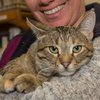 Carrot-IMG_6409.jpg