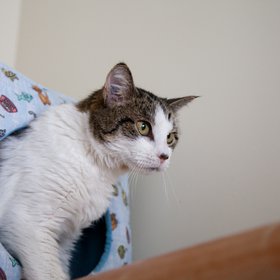 Casey IMG_4062.jpg