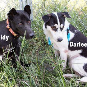 CassidyIMG_9626 copy.jpg