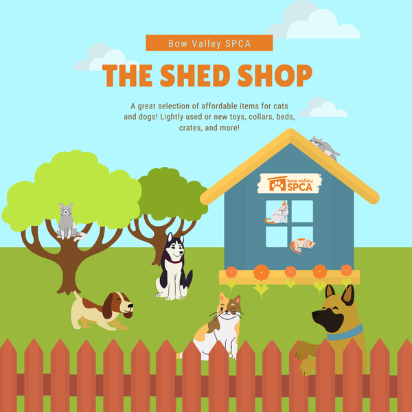 Copy of The Shed Shop Poster (Instagram Post).png
