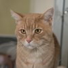 Costello-IMG_6095.jpg