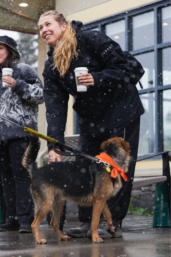 Court - Mutt Strut