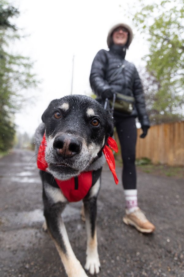 Daisy Gunner 1 - Mutt Strut