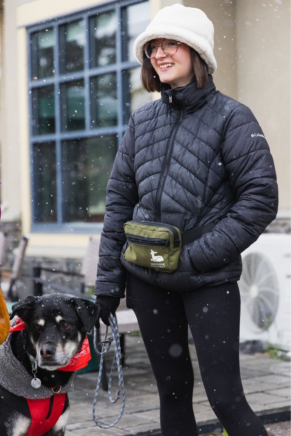 Daisy and gunner - Mutt Strut