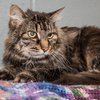 Darla-IMG_6102.jpg