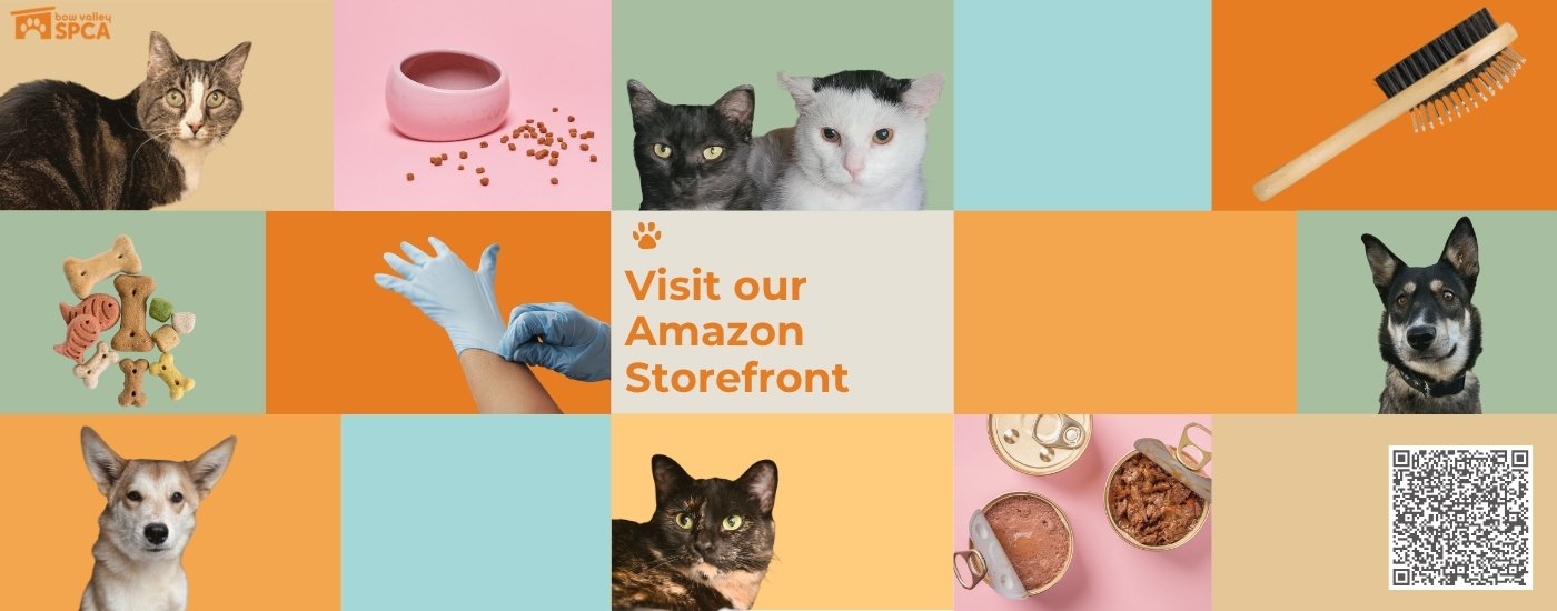 Did you know... (1400 x 550 px) (3)