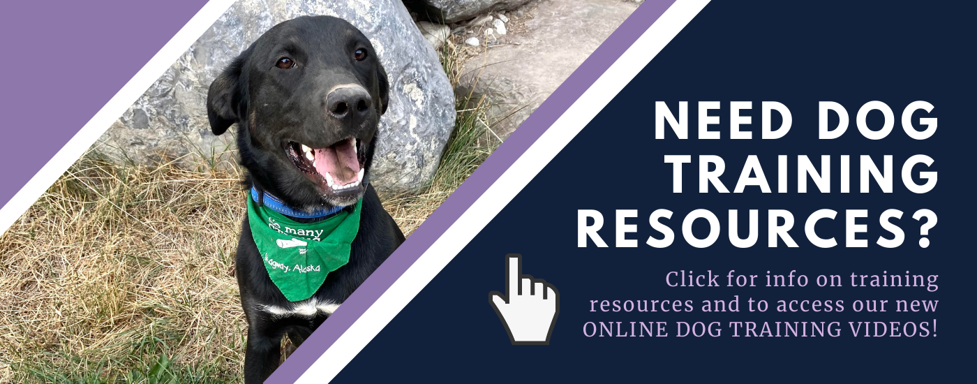 bow valley humane society