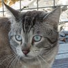 Dude IMG_3401.jpg