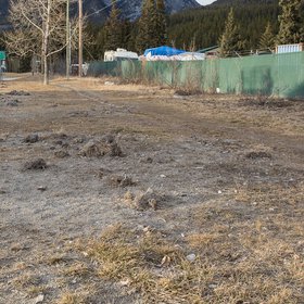 Elk Run Cleaned IMG_7582.jpg