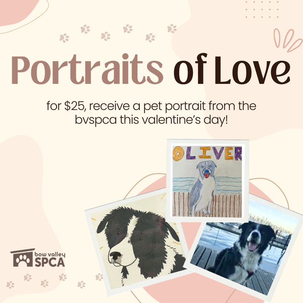 Portraits of Love 2026 Graphic