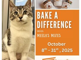 Meela's Mixes Event