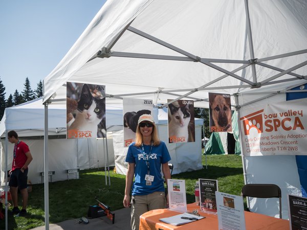 Folk Festival 2019 P8050034.jpg