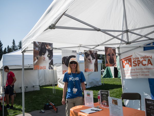 Folk Festival 2019 P8050034.jpg