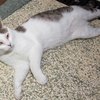 Franklin IMG_4496.jpg