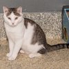 Franklin IMG_4499.jpg