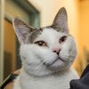 Franklin IMG_4502.jpg