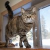 FrannyIMG_7940.jpg
