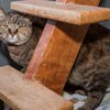 FrannyIMG_7944.jpg