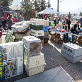 Garage Sale 2018