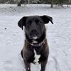 Ginny - 3