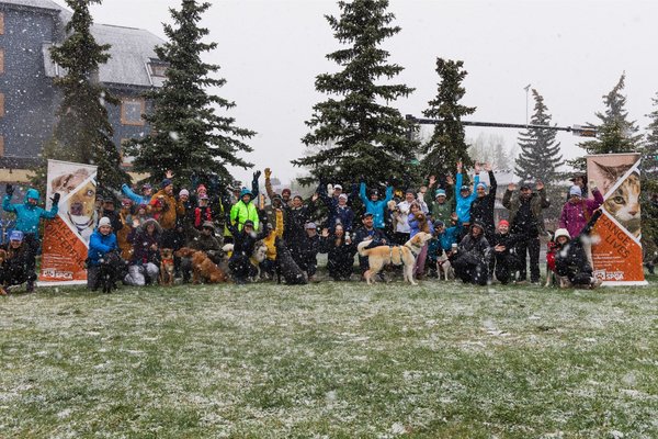 Group 1 - Mutt Strut