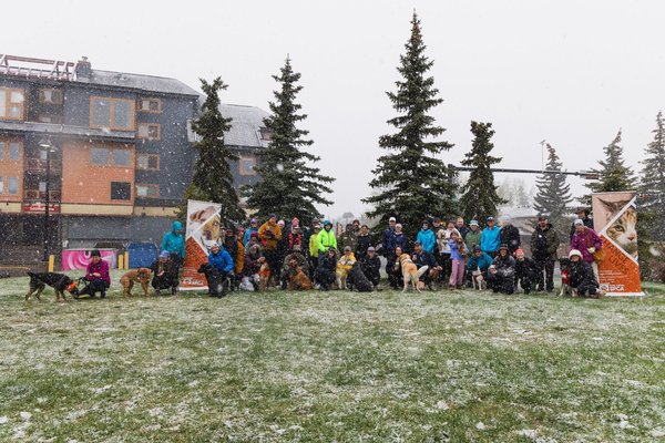 Group 2 - Mutt Strut