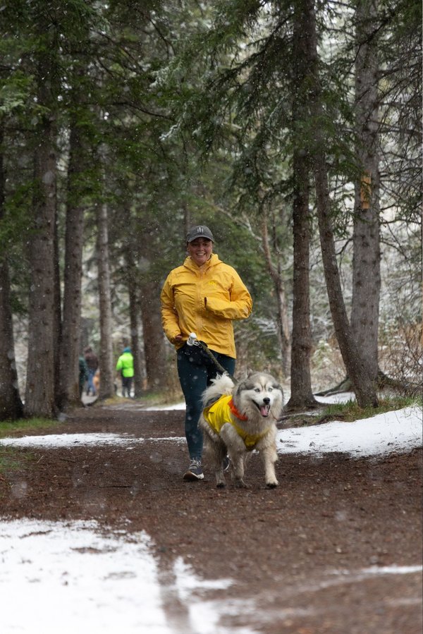 Harely and Casper - Mutt Strut