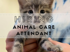 Hiring (2)