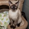 Holmes IMG_1905_.jpg