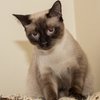 Holmes IMG_1911_.jpg