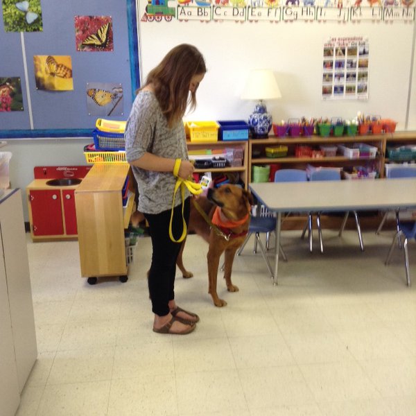 Educators and Red