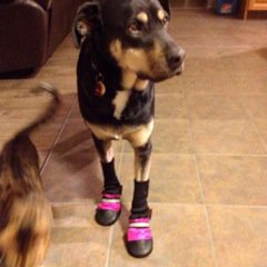 IMG_0616.jpeg