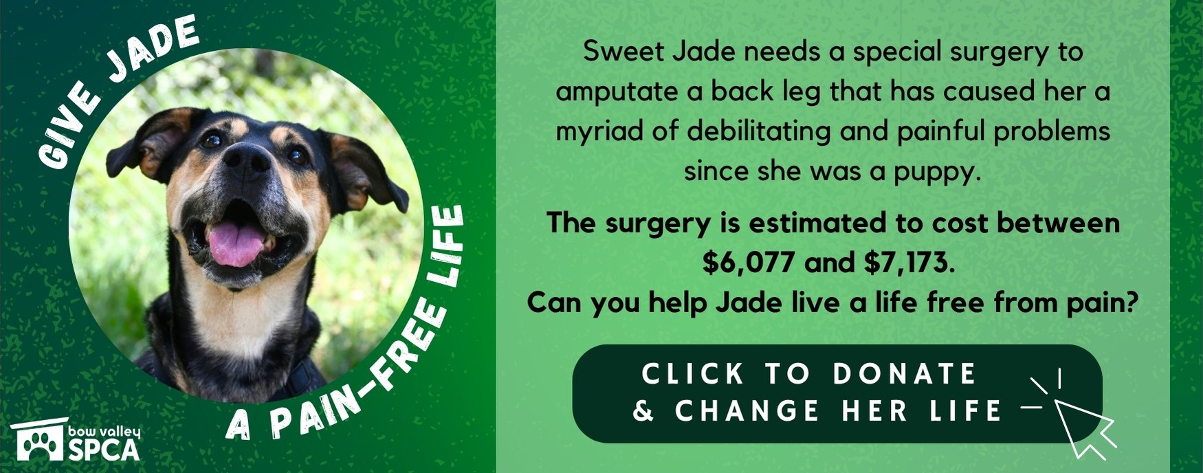 Jade Fundraiser - Website Banner