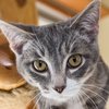 JasperIMG_3566.jpg