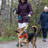 Jen and Percy - Mutt Strut